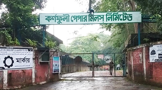 image-here